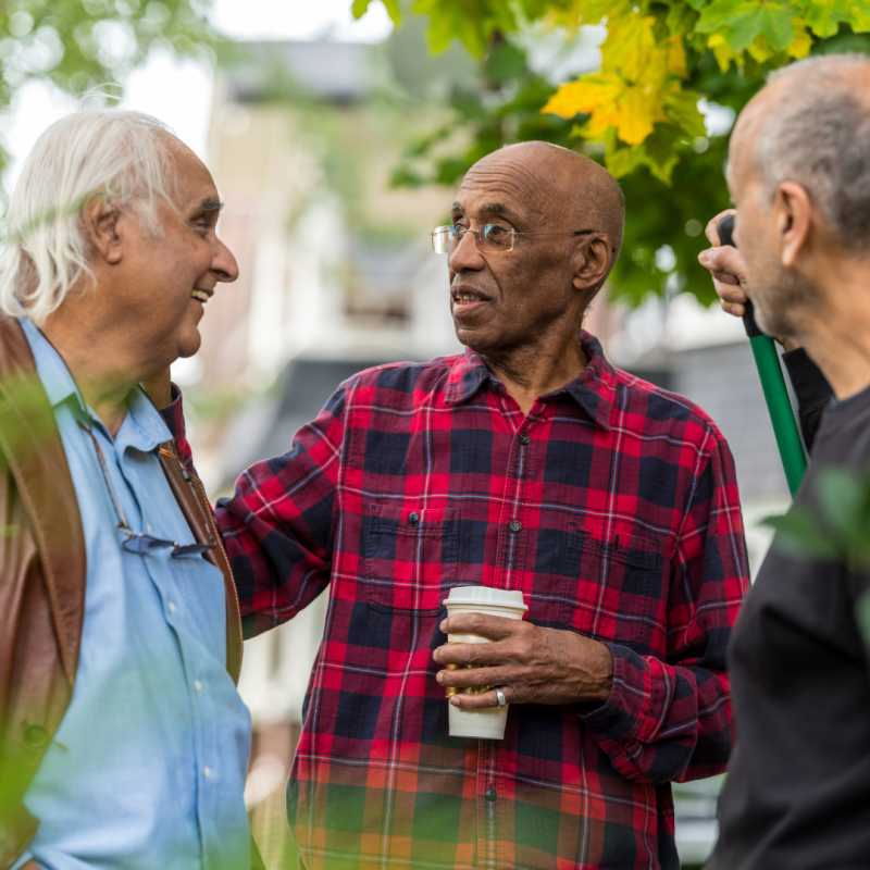 NT ADMINISTRADORA (2)